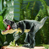 DinoSwing™ Toy